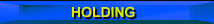 Holding Report
